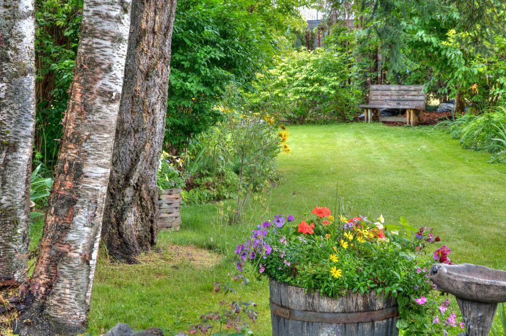 Hummingbird Bed And Breakfast Clearwater Ngoại thất bức ảnh