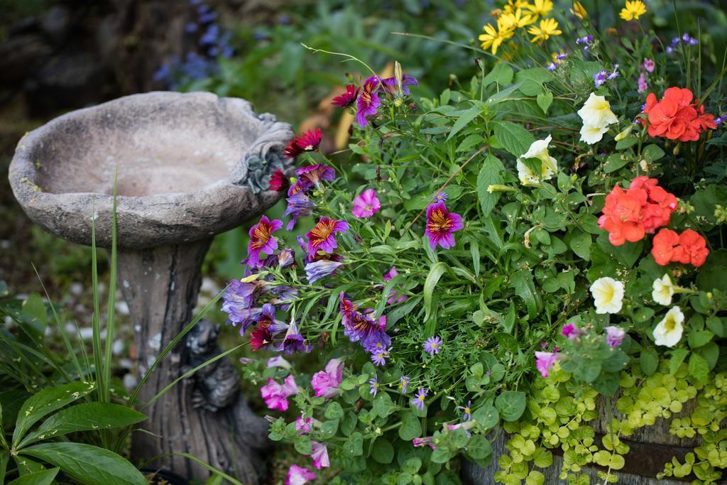 Hummingbird Bed And Breakfast Clearwater Ngoại thất bức ảnh